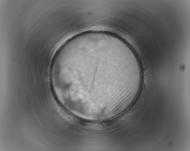 X0000111941229200908241132