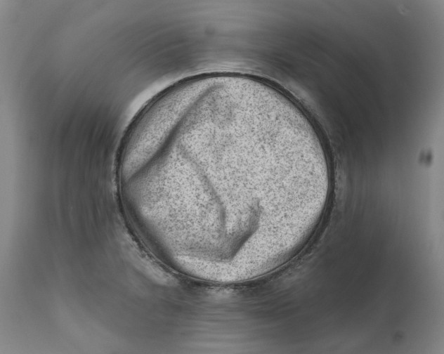 X0000111941230200908241132