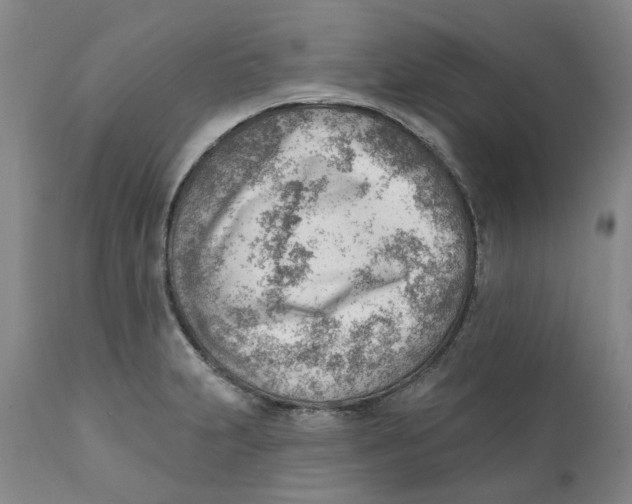 X0000111941231200908241132