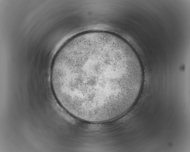 X0000111941232200908241132