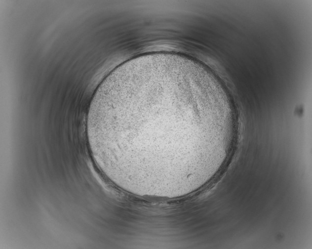 X0000111941233200908241132