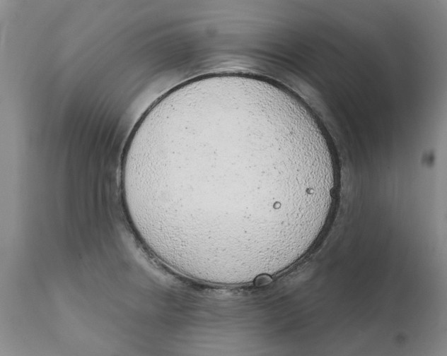 X0000111941234200908241132