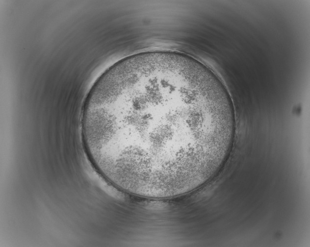 X0000111941235200908241132