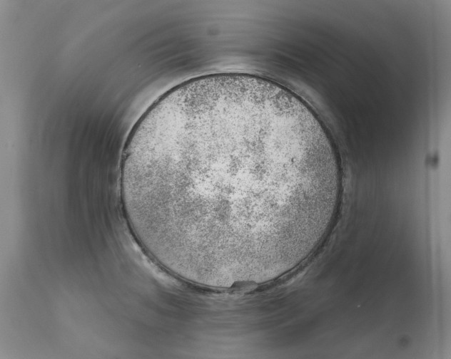 X0000111941236200908241133