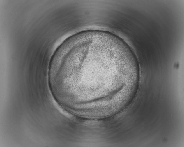 X0000111941237200908241133