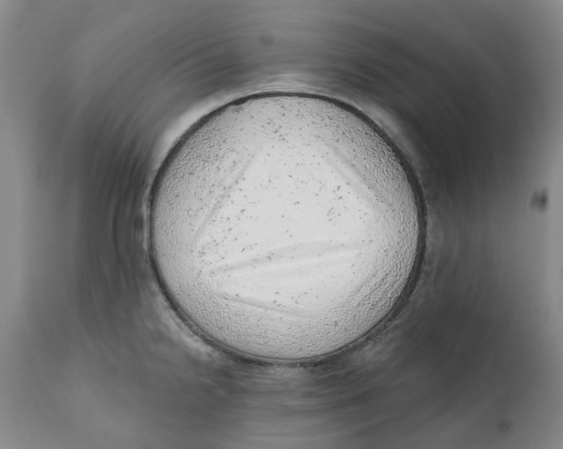 X0000111941238200908241133