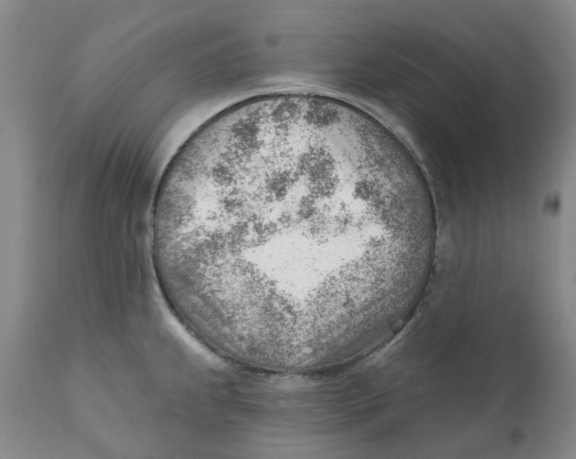 X0000111941239200908241133