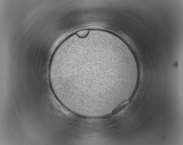 X0000111941240200908241133