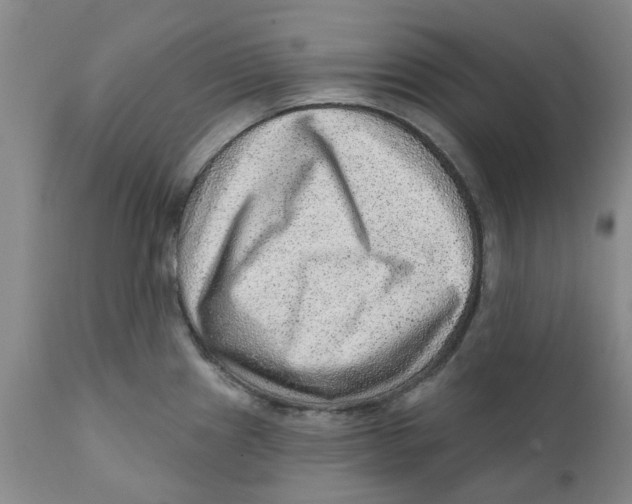 X0000111941241200908241133