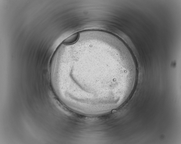 X0000111941242200908241133