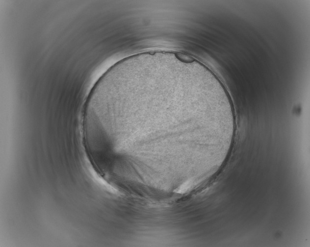 X0000111941243200908241133