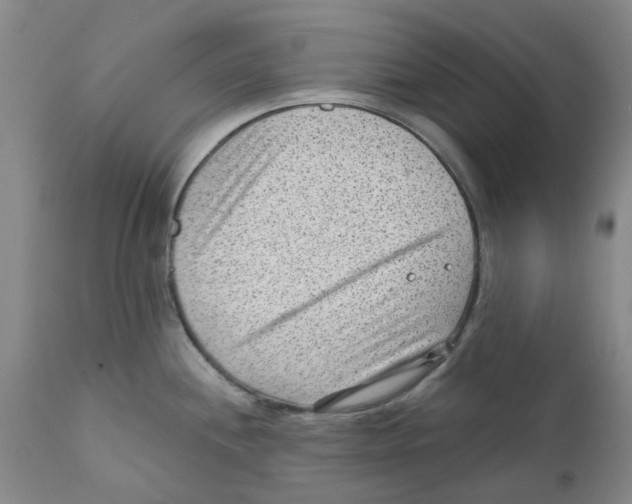 X0000111941244200908241133