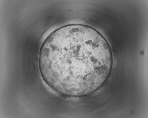 X0000111941245200908241133