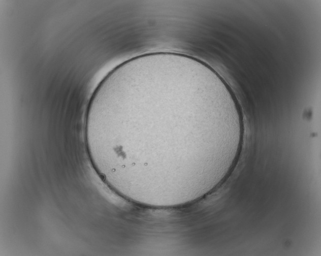 X0000111941246200908241133