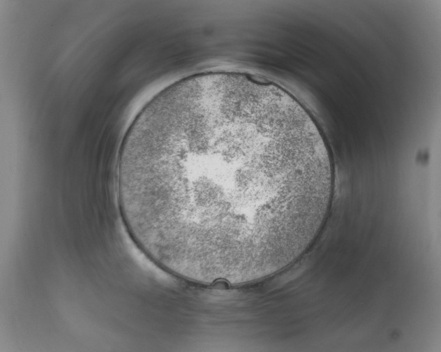 X0000111941247200908241133