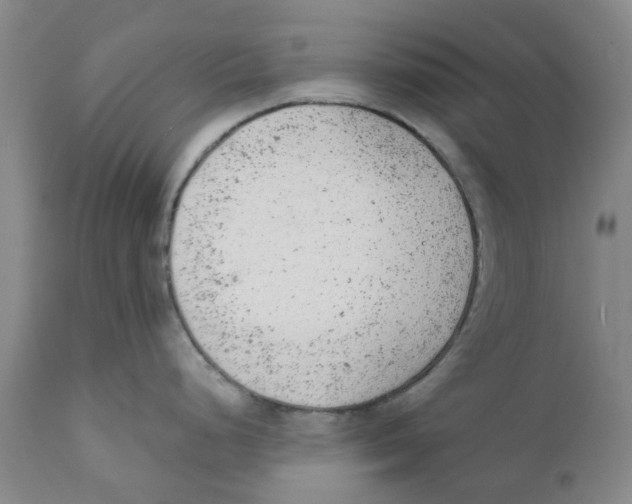 X0000111941248200908241133