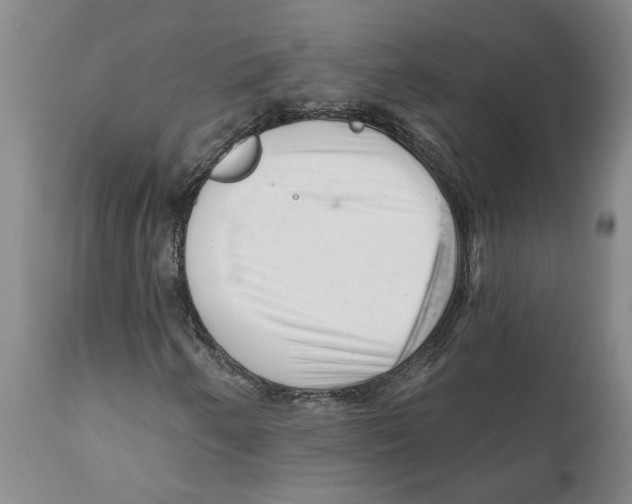 X0000111941250200908241132