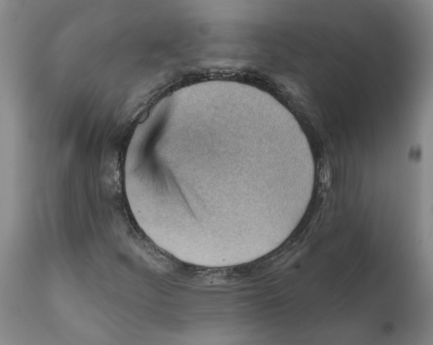 X0000111941252200908241132