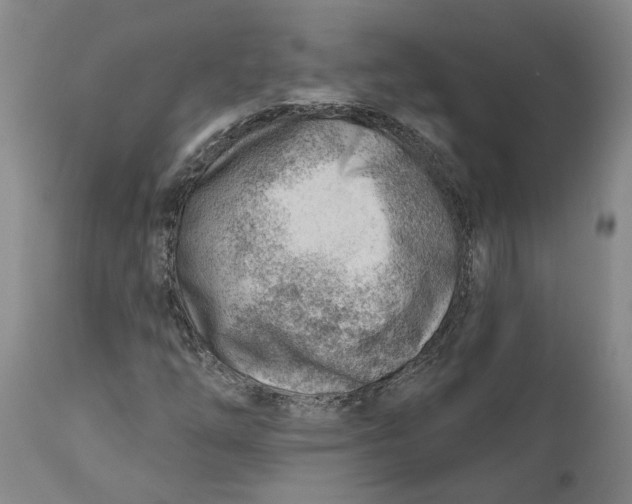 X0000111941254200908241132