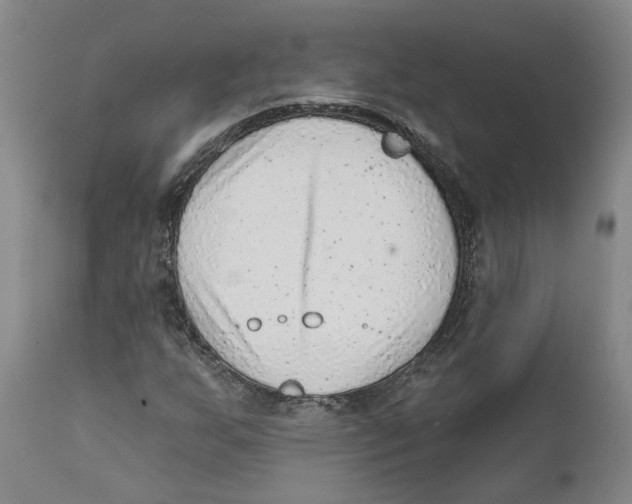 X0000111941255200908241132