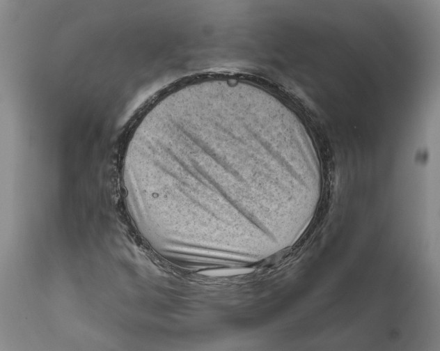 X0000111941256200908241132