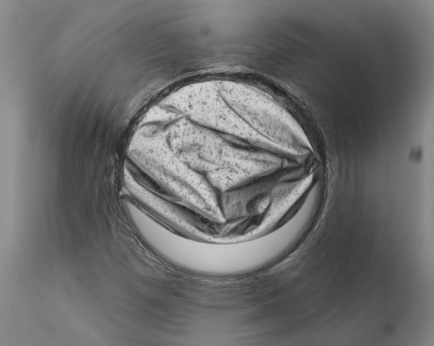 X0000111941257200908241132