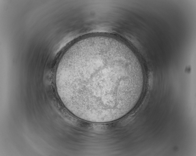 X0000111941258200908241132