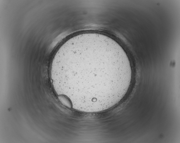 X0000111941259200908241132