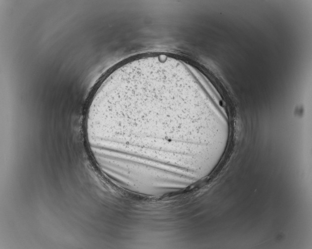 X0000111941260200908241132