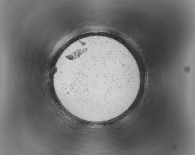 X0000111941261200908241132