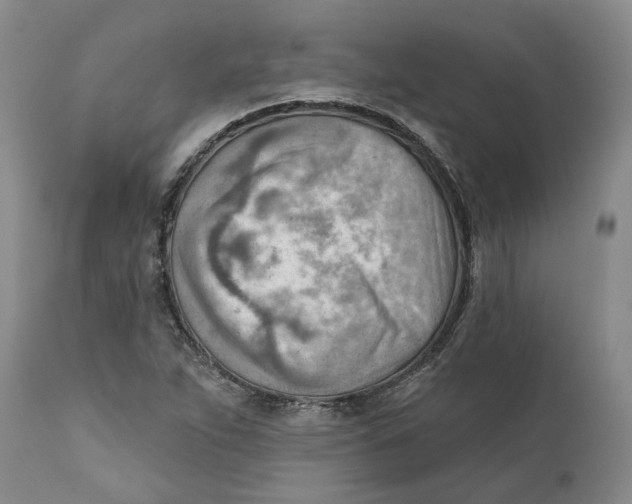 X0000111941263200908241132