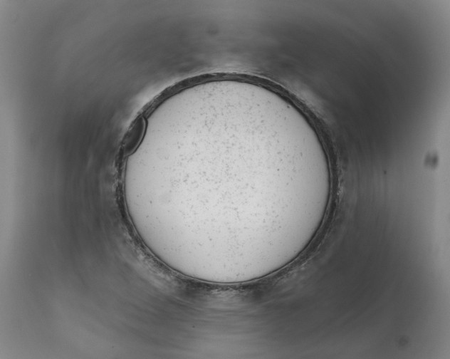 X0000111941264200908241132