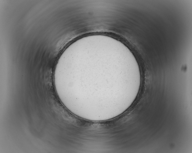 X0000111941265200908241132