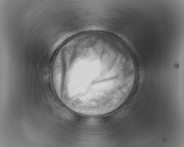 X0000111941266200908241132