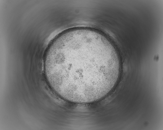 X0000111941267200908241132