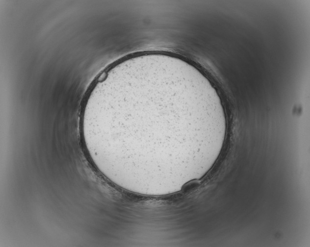 X0000111941268200908241132