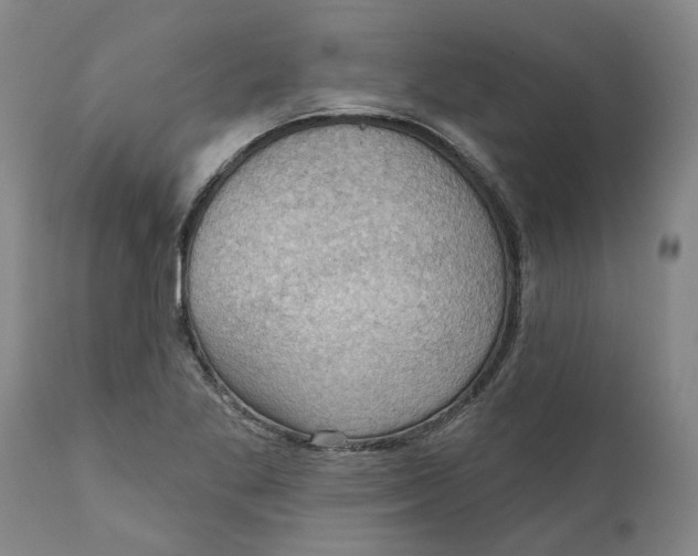 X0000111941269200908241132