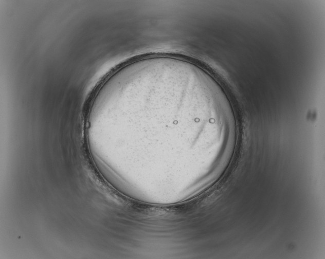 X0000111941270200908241132