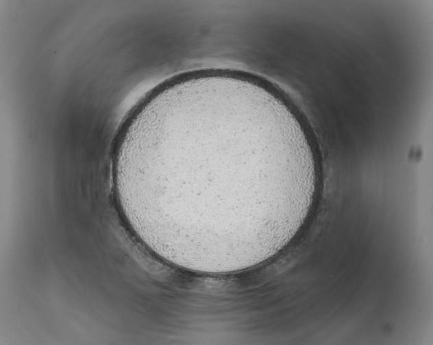 X0000111941271200908241132