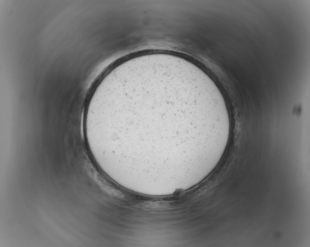 X0000111941272200908241132