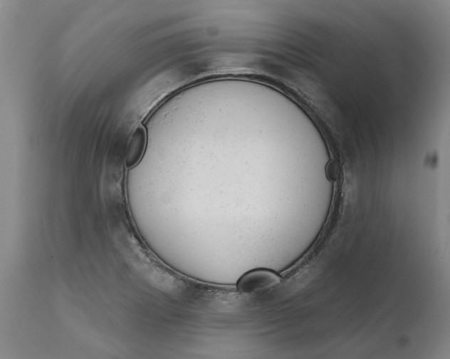 X0000111941273200908241132