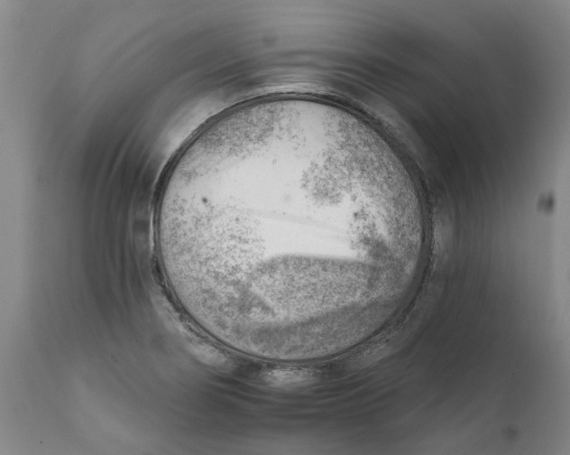 X0000111941274200908241132