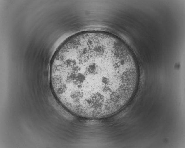 X0000111941275200908241132