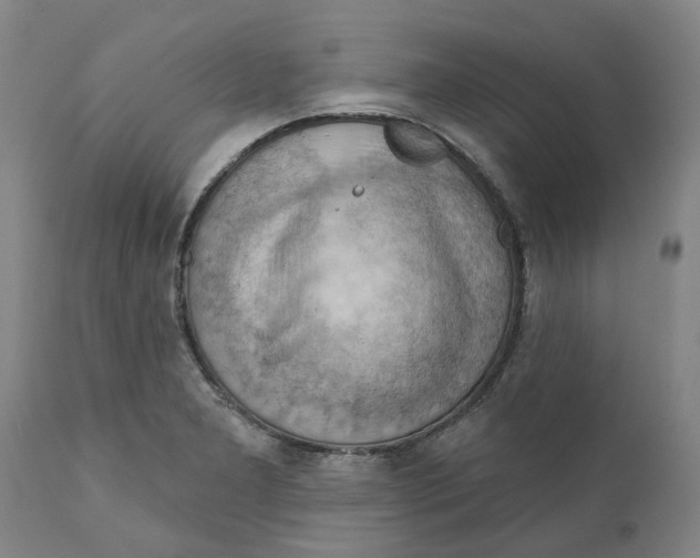 X0000111941277200908241132