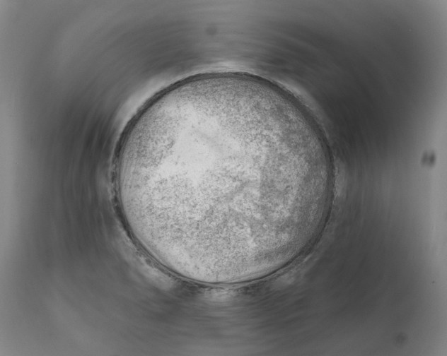 X0000111941278200908241132