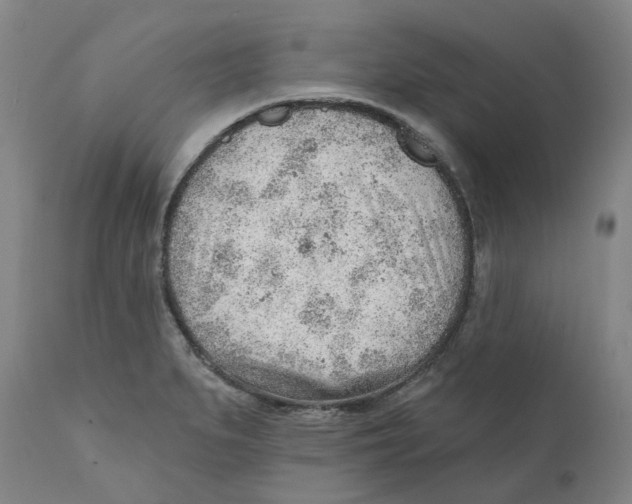 X0000111941279200908241132