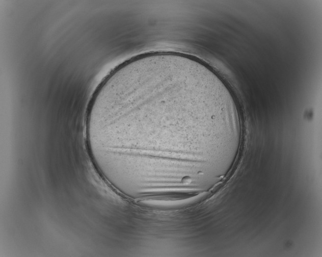 X0000111941280200908241132