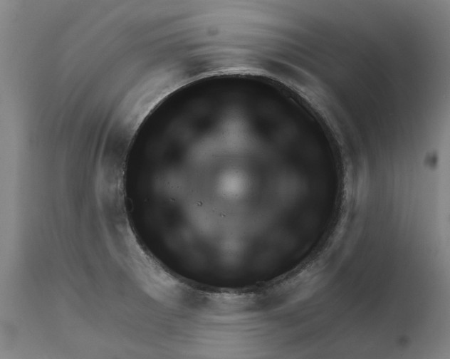 X0000111941281200908241132