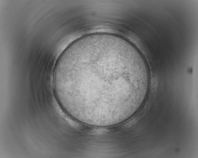 X0000111941282200908241132