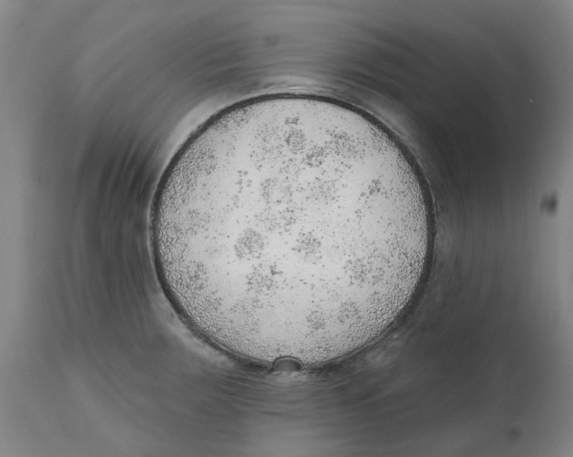 X0000111941283200908241132